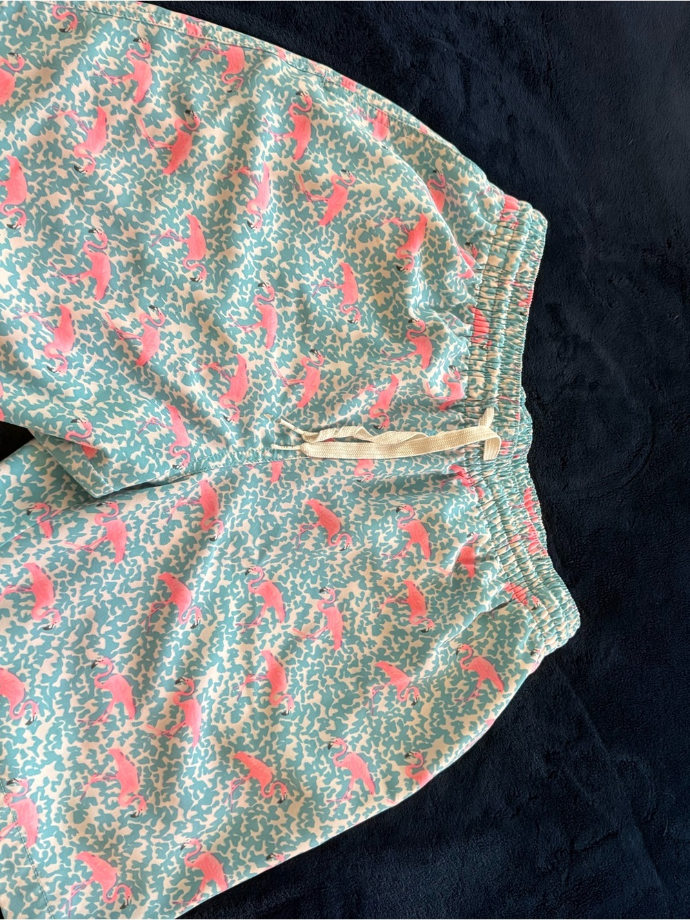 chubbies Light Blue Swim Trunks with Pink Dolphin Print
